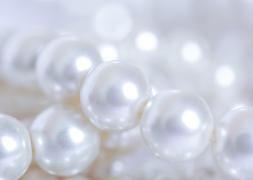 専門鑑定士による正確査定